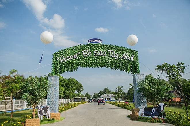 Không gian đậm chất “resort” của Trang trại bò sữa Vinamilk Tây Ninh - ngôi nhà mới của hơn 8000 cô bò, bê sữa