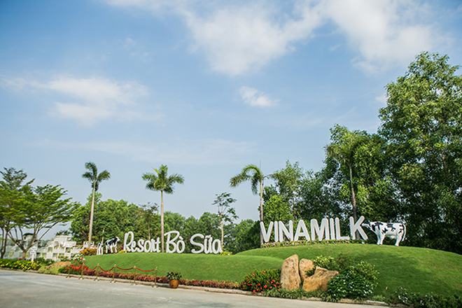 “Resort” bò sữa Vinamilk Tây Ninh – Ngôi nhà lý tưởng của những cô bò hạnh phúc