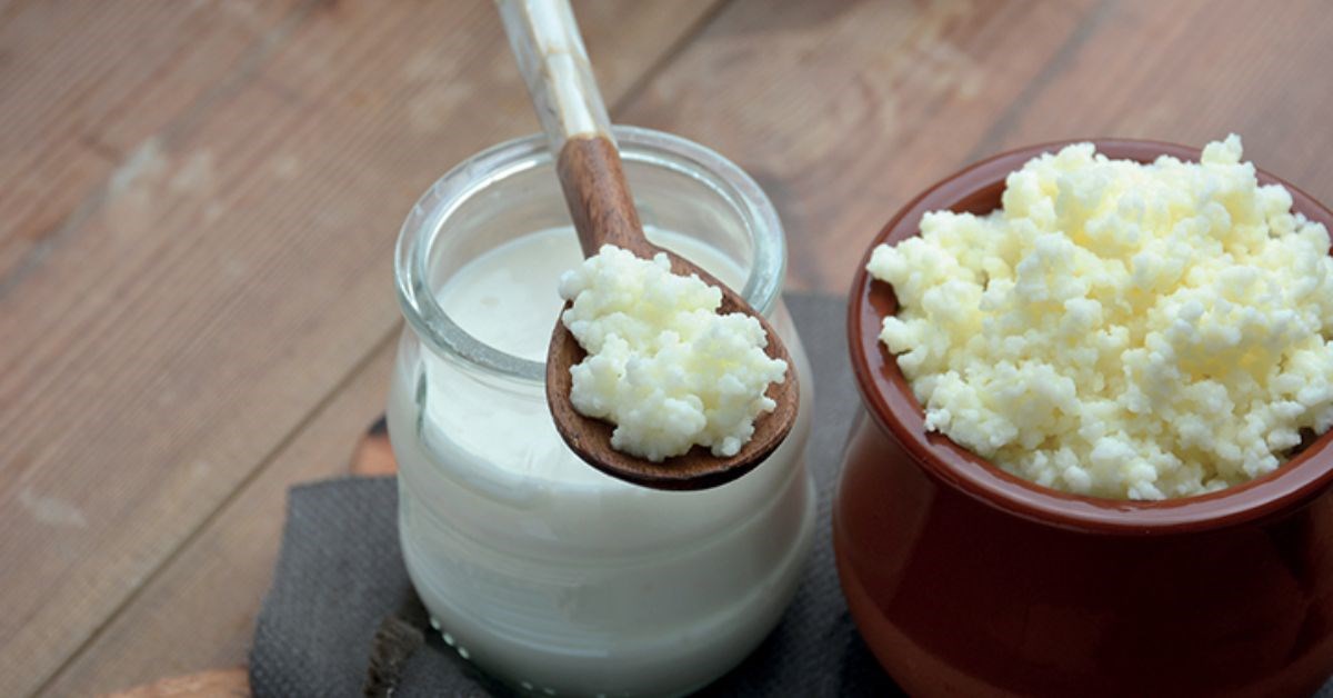 Sữa chua từ nấm kefir