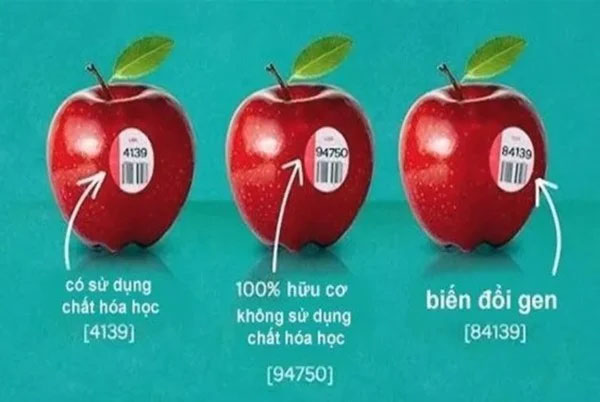 Cách phân biệt thực phẩm biến đổi gen