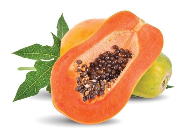 Đu đủ chứa enzyme papain