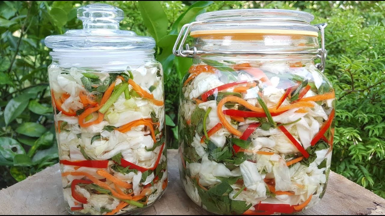 Dưa bắp cải