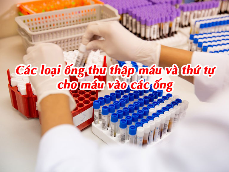 Nguyên tắc sử dụng các loại ống thu thập máu và thứ tự cho máu vào các ống