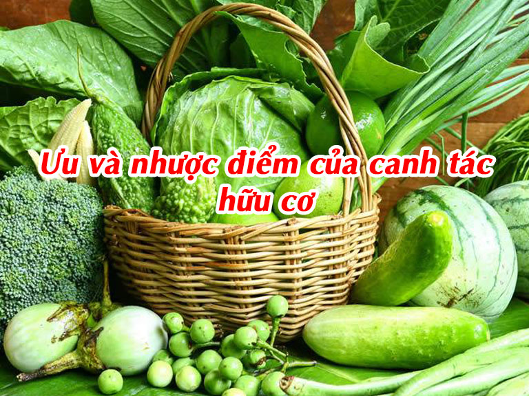 Ưu và nhược điểm của canh tác hữu cơ