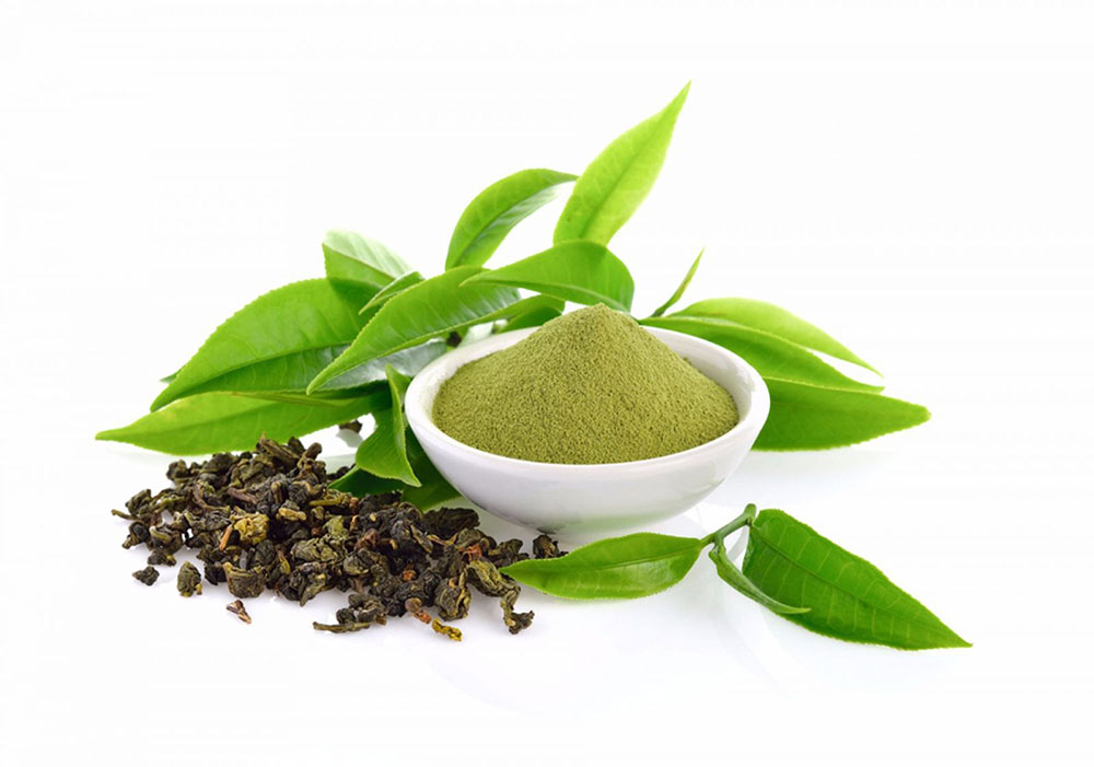 Catechin là gì